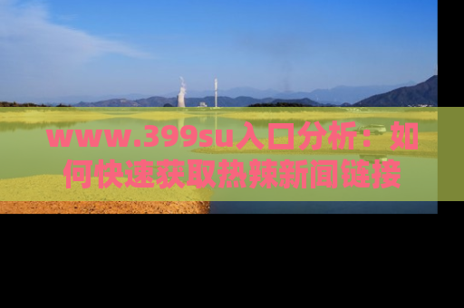 www.399su入口分析:如何快速获取热辣新闻链接