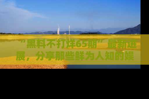 “黑料不打烊65期”最新进展，分享那些鲜为人知的娱乐八卦