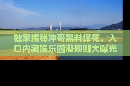 独家揭秘冲哥黑料探花，入口内藏娱乐圈潜规则大曝光