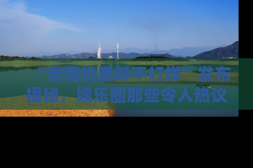 “老司机黑料不打烊”发布揭秘，娱乐圈那些令人热议的黑暗秘密！