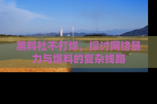 黑料社不打烊，探讨网络暴力与爆料的复杂线路