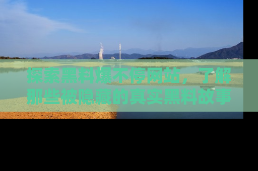 探索黑料爆不停网站,了解那些被隐藏的真实黑料故事