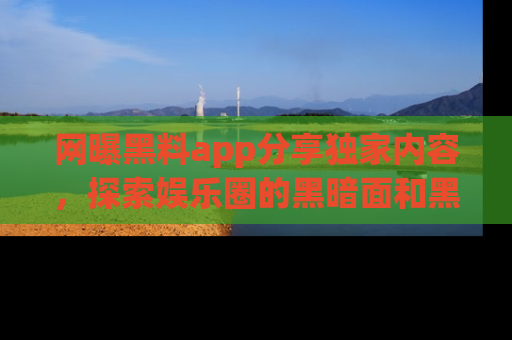 网曝黑料app分享独家内容，探索娱乐圈的黑暗面和黑料