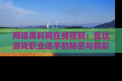 网曝黑料网在线视频：直达游戏职业选手的秘密与精彩动漫片段！