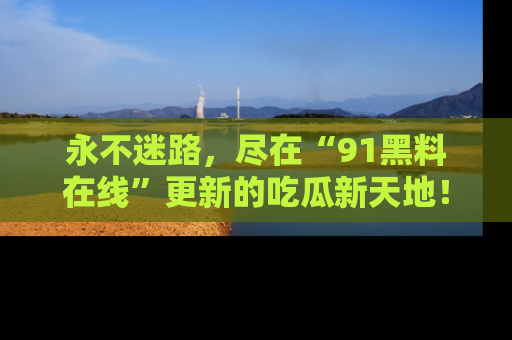 永不迷路,尽在“91黑料在线”更新的吃瓜新天地!