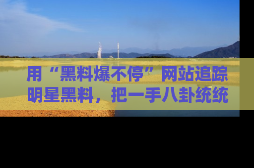 用“黑料爆不停”网站追踪明星黑料，把一手八卦统统收进你的后宫中！