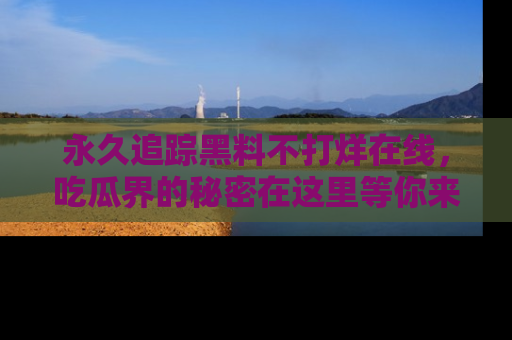永久追踪黑料不打烊在线,吃瓜界的秘密在这里等你来发现!