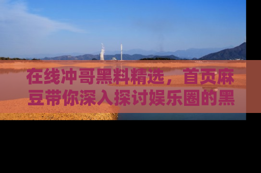在线冲哥黑料精选，首页麻豆带你深入探讨娱乐圈的黑暗面